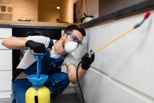 Professional Pest Control in Latta, SC