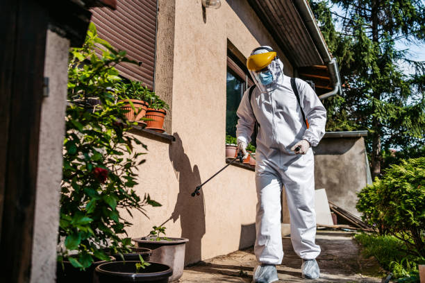 Best Pest Prevention Services  in Latta, SC