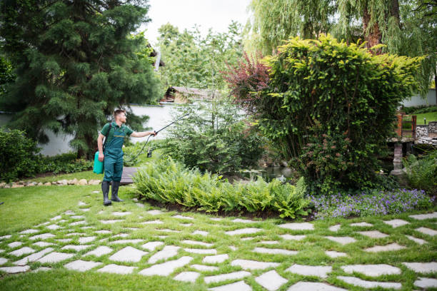 Best Best Pest Control Companies  in Latta, SC
