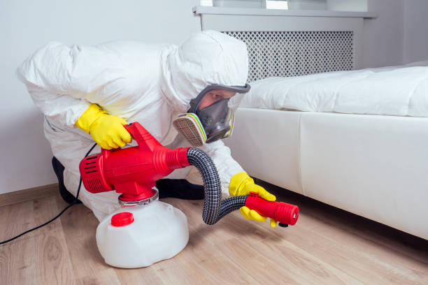 Best Best Pest Control Companies  in Latta, SC