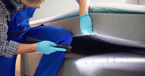 Best Local Pest Control Services  in Latta, SC